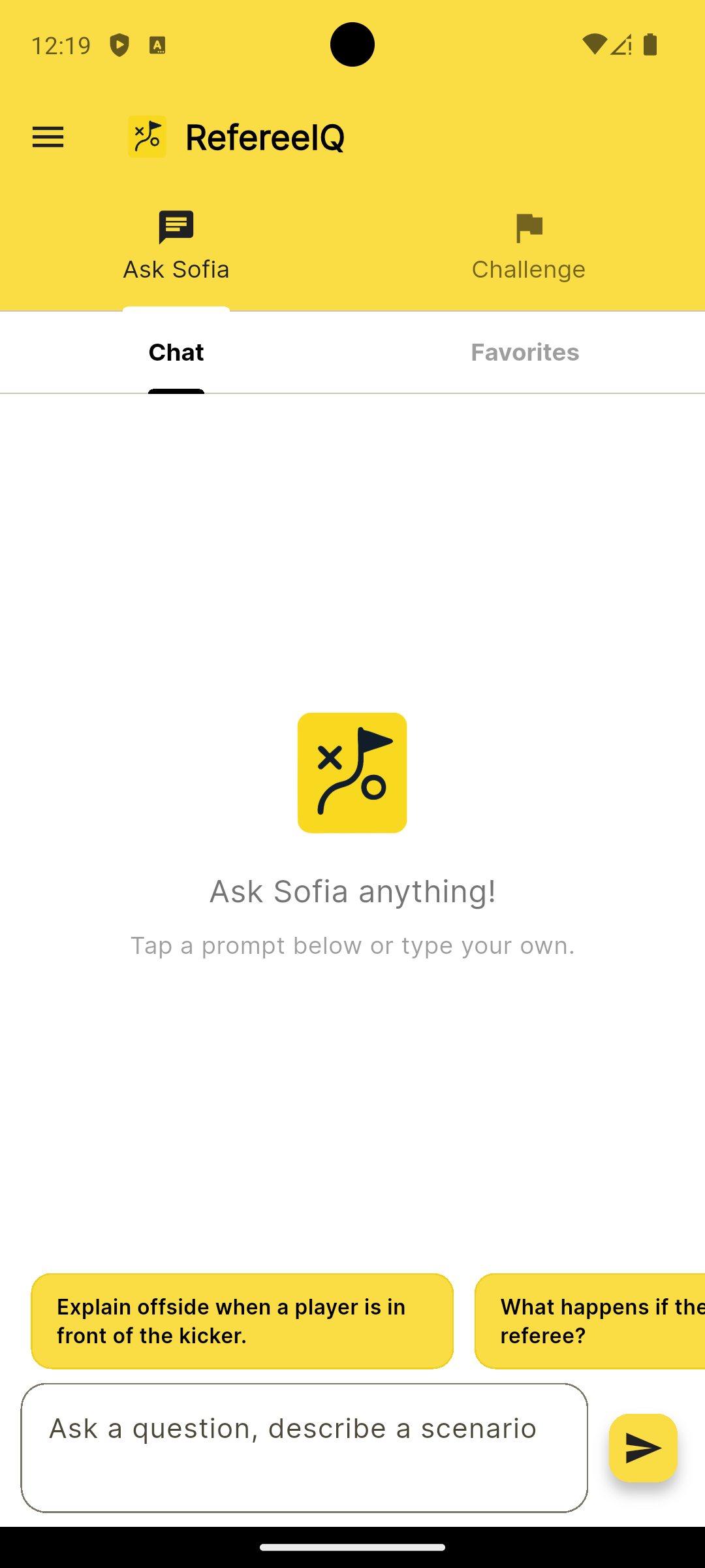 Asking Sofia a rugby law question